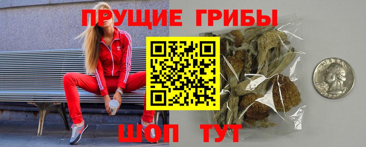 Галлюциногенные грибы Psilocybe Луховицы