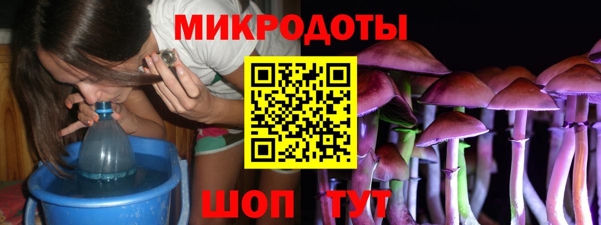 Псилоцибиновые грибы Cubensis  Вход с VPN  Луховицы 